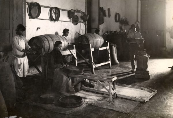 El taller de la cochinilla, 1928 / Fotografía de Teodoro Maisch. Fuente Fedac